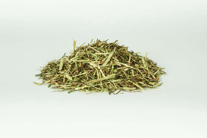 DERBY Timothee-Gras Pur